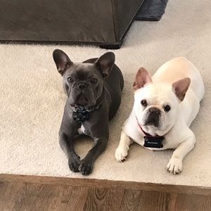 Meet your Posher, Kris